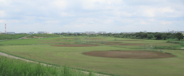 IMG_8683 (2)