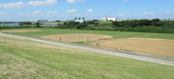 IMG_1591 (2)