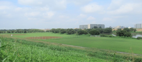 IMG_8113 (2)