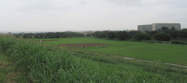 IMG_8066 (2)