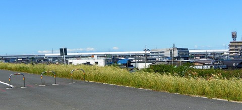 DSC_1001