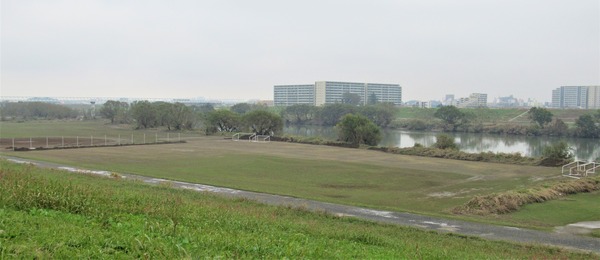 IMG_4906 (2)