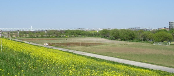 IMG_3195 (2)