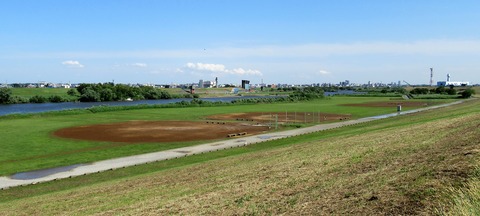 IMG_5463 (2)