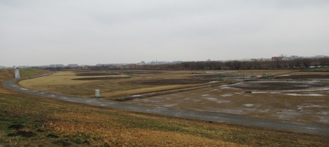 IMG_2910 (2)