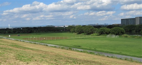 IMG_3740 (2)