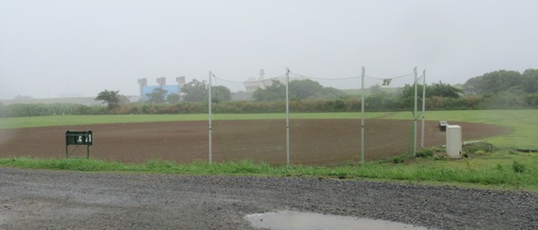 IMG_1254 (2)