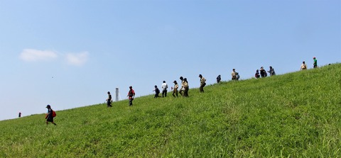 IMG_4286 (3)