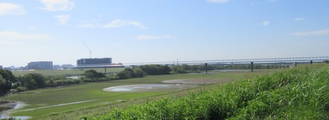 IMG_1708 1