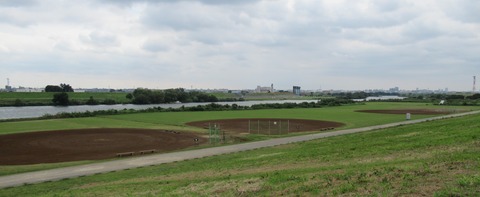 IMG_0794 (2)