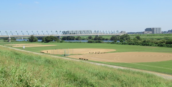 IMG_8350 (2)