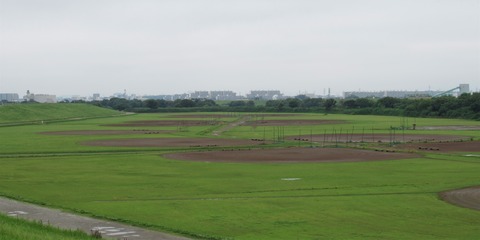 IMG_6264 (2)