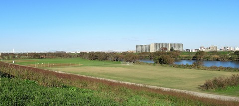 IMG_8736 (2)
