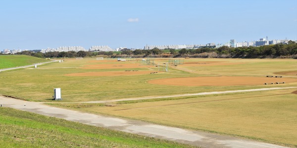 DSC_0013 (2)