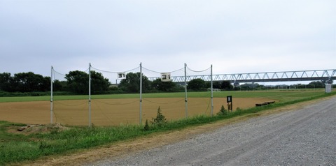 IMG_7713 (2)