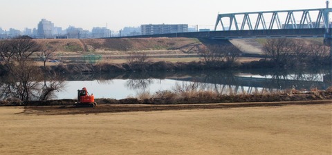 IMG_2694 (3)