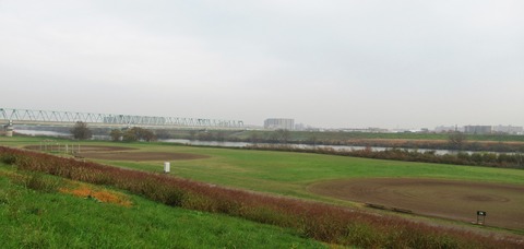 IMG_8935 (2)