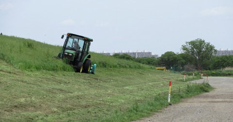 IMG_5242 (2)