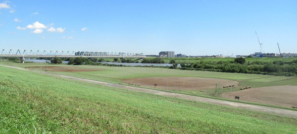 IMG_1828 (2)