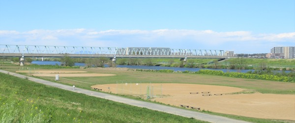 IMG_6953 (2)