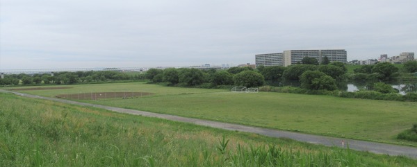IMG_0820 (2)