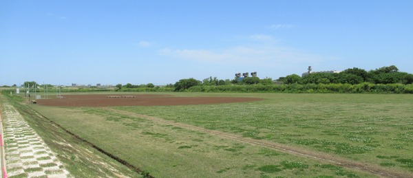 IMG_0781 (2)