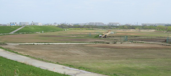 IMG_7002 (3)