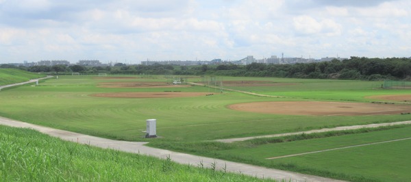 IMG_1503 (2)