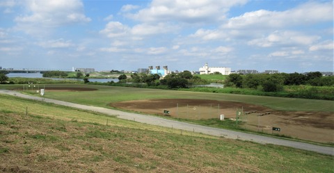 IMG_3881 (2)