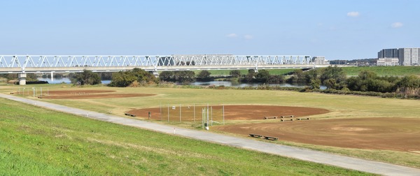 DSC_0024 (2)