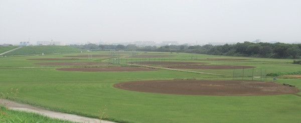 IMG_2034 (2)