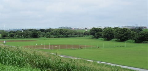 IMG_2437 (2)