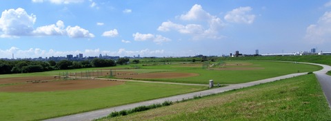 IMG_0376 (2)