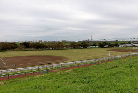 31番