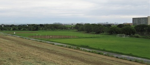 IMG_3624 (2)