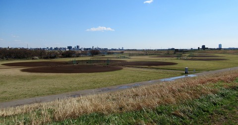 IMG_0137 (2)
