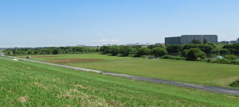 IMG_1485 (2)