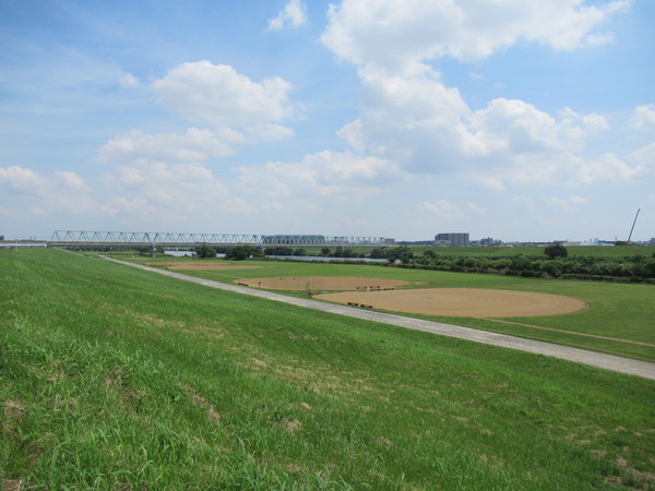 IMG_8812