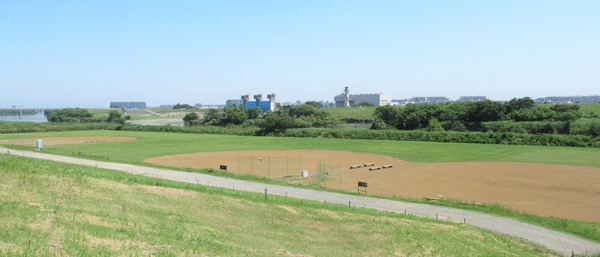 IMG_7463 (2)
