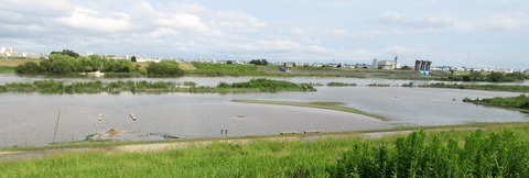 IMG_1019 (2)