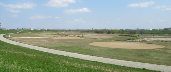 IMG_6915 (2)