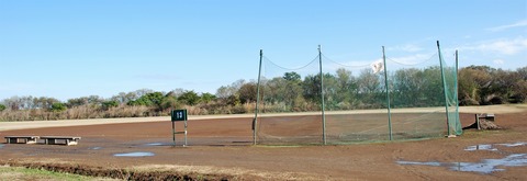 DSC_0271 (2)