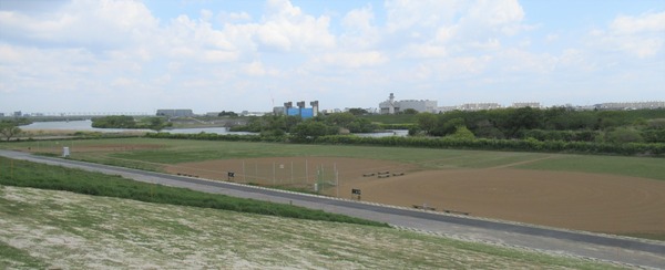 IMG_0500 (2)