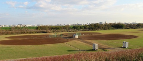 IMG_8896 (2)