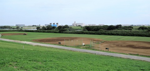 IMG_7913 (3)