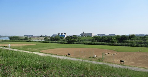 IMG_1172 (2)