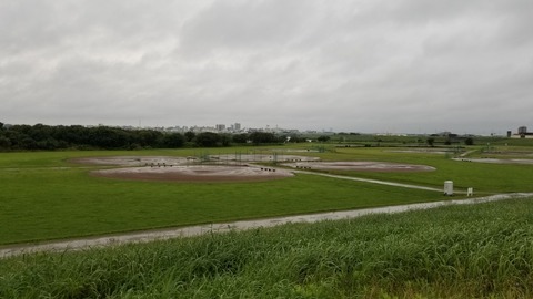 IMG_20190715_050959