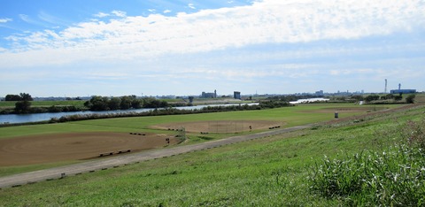 IMG_8461 (2)