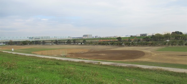 IMG_4975 (2)