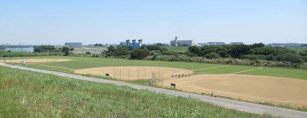 IMG_3824 (2)